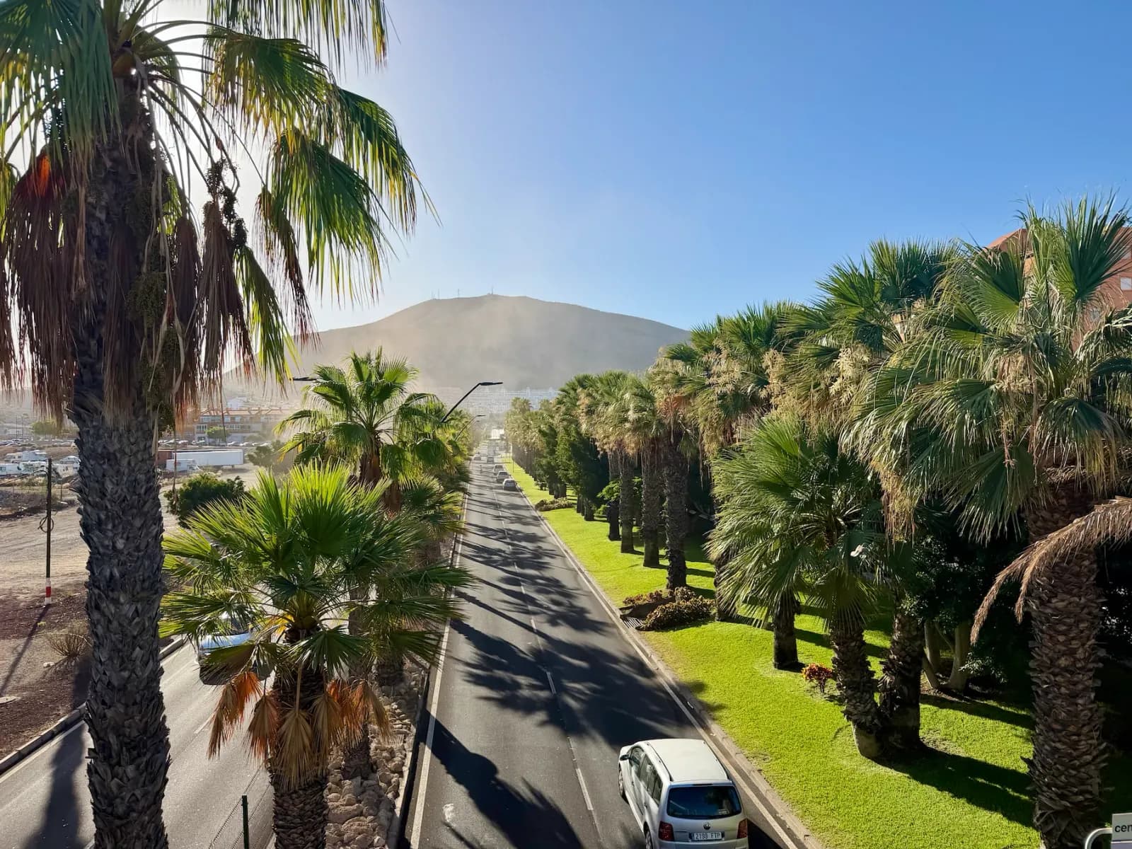 Widok z kładki na Avenida de Chayofita w Los Cristianos – aleja palm w słońcu i wzgórze Montaña de Guaza w tle