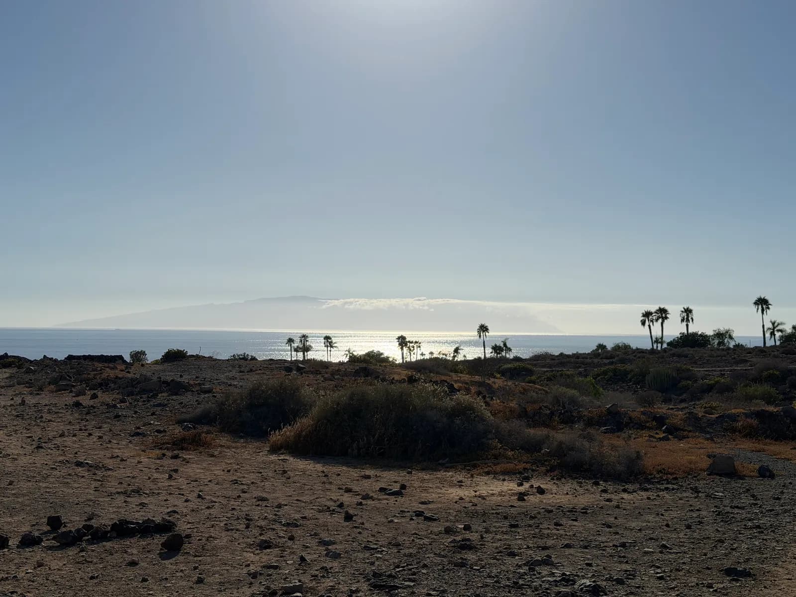 Spokojne wybrzeże gminy Adeje na Teneryfie z palmami i wyspą La Gomera na horyzoncie