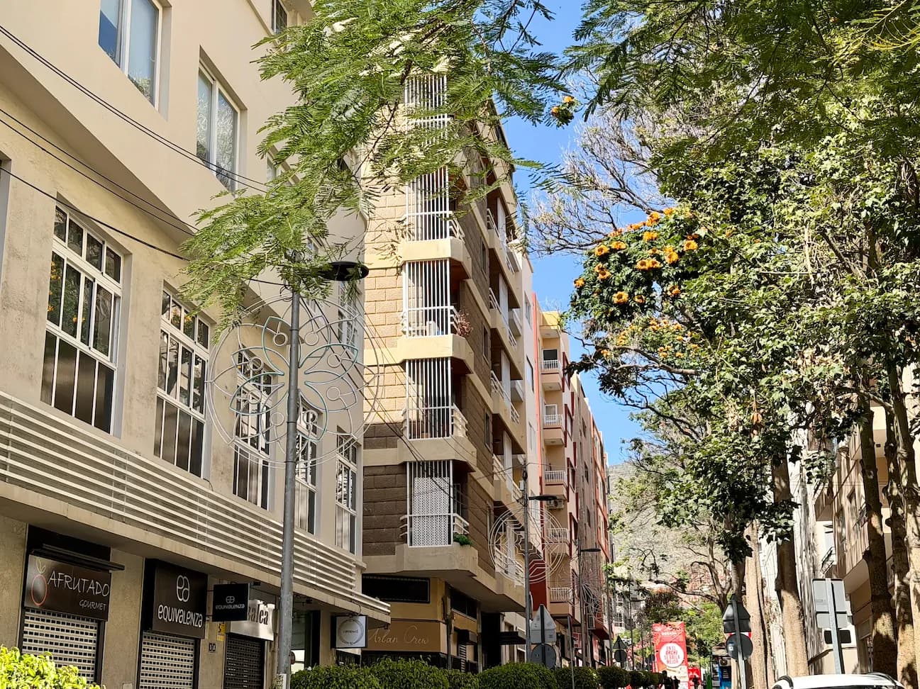 Ulica w centrum Santa Cruz de Tenerife z wysokimi drzewami, sklepami na parterach budynków i wiszącymi dekoracjami świątecznymi