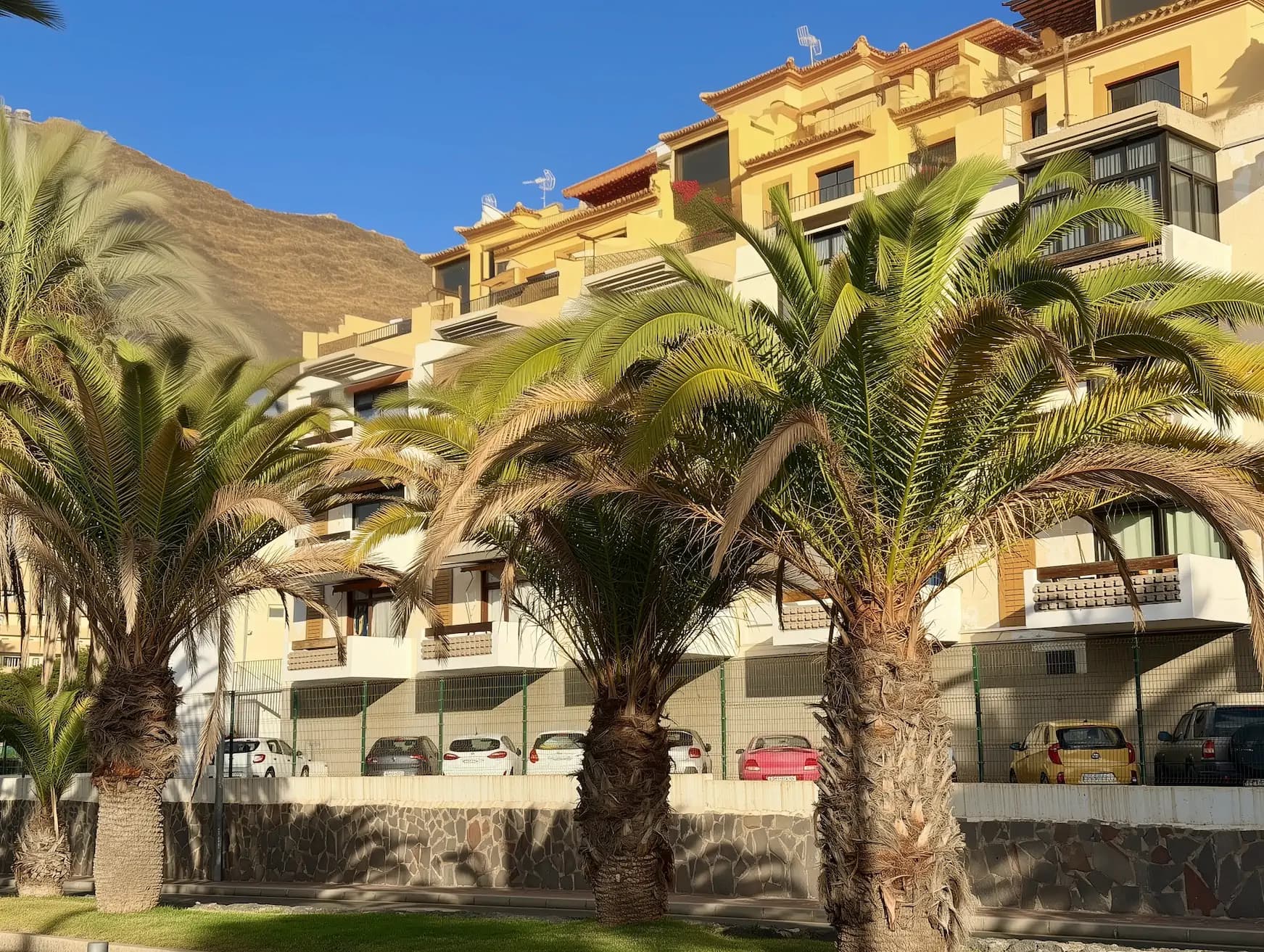 Słoneczne osiedle na Teneryfie z dużymi palmami na pierwszym planie i zaparkowanymi samochodami