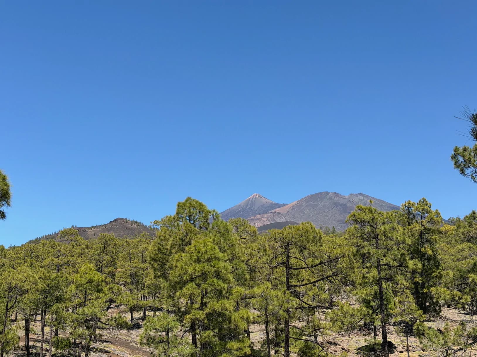 El Teide: Majestatyczne serce Teneryfy. Dlaczego ta wyspa to coś więcej niż tylko ocean?