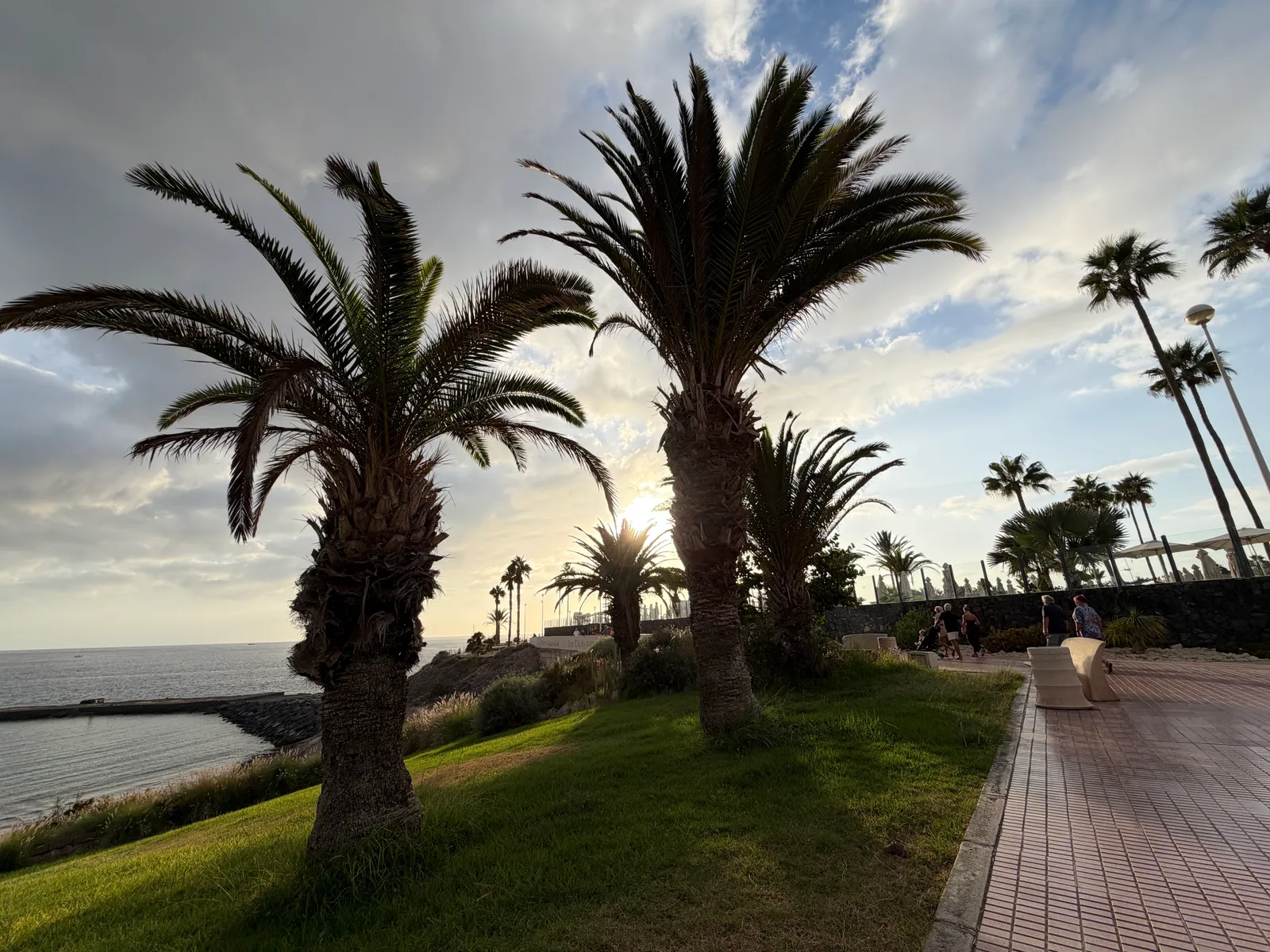 Palmy i promenada w Costa Adeje wieczorem, w tle ocean i port
